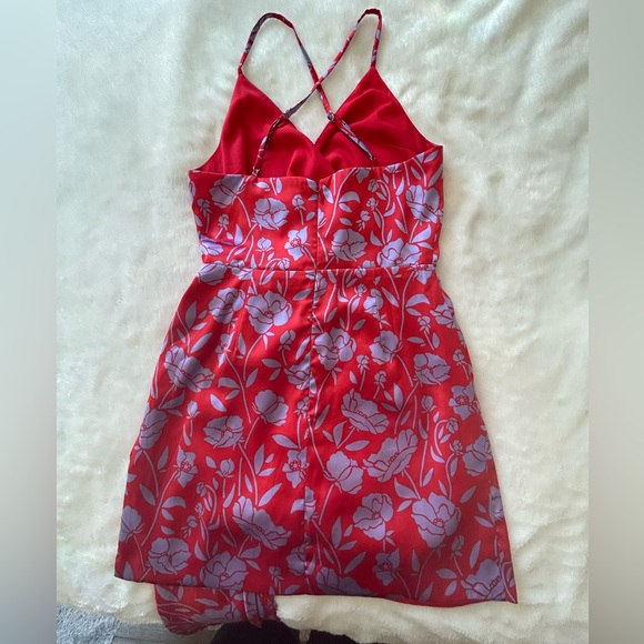 Revolve mini dress! - Picture 7 of 12